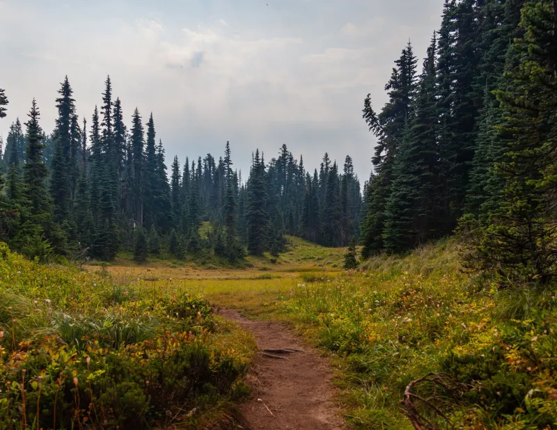 Think Like a Park Ranger, Not a Strip Mall Tenant: A Stewardship Audit for Your Website