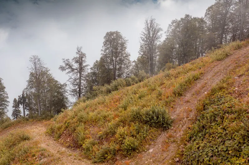 Widen the Path, Don't Pave the Interstate: A Case for Small Website Projects
