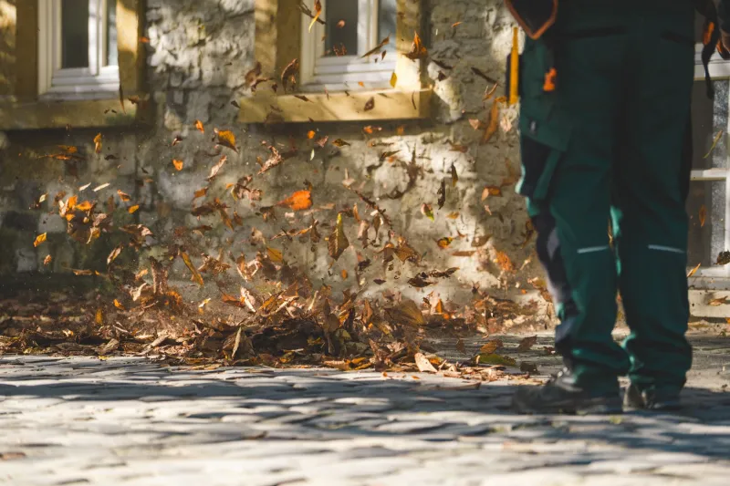Mow the Lawn or Pull the Weeds: What Yard Work Teaches You About Website Upkeep
